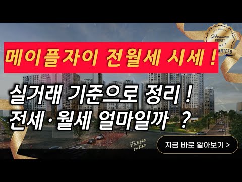 메이플자이전세 8월2째주, 메이플자이 전월세, 메이플자이시세