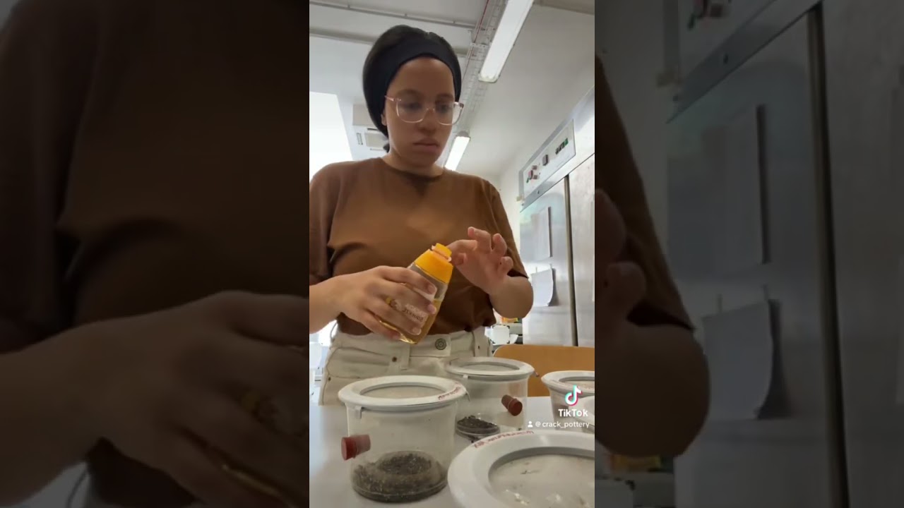 Day in the life at an entomology lab #dtl #entamology #stem