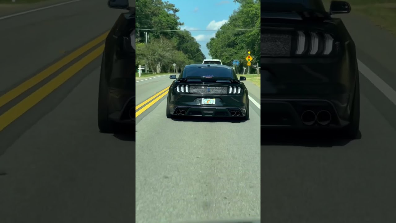 Loud Mustang GT Downshift Sound Alright Car Steeda S550mustang