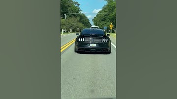 Loud Mustang GT downshift! Sound alright?  #mustang #car #steeda #s550mustang