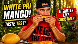 Information White Pri Mango Taste Test  Update