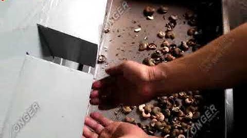 Semi-automatic Cashew Sheller|Kernel Shell Separator Machine Manufacturers