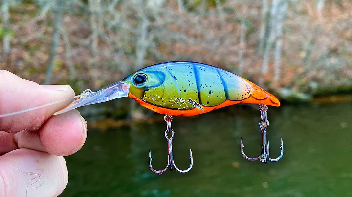 You DON'T Want to MISS this Lure for Winter Bass Fishing