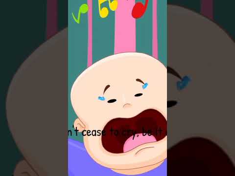 ٢٧ يناير ٢٠٢٥