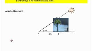 STAAR Test Math Sample Exercise Geometry