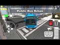 Public Bus Driver (Public Transport Simulator X )
