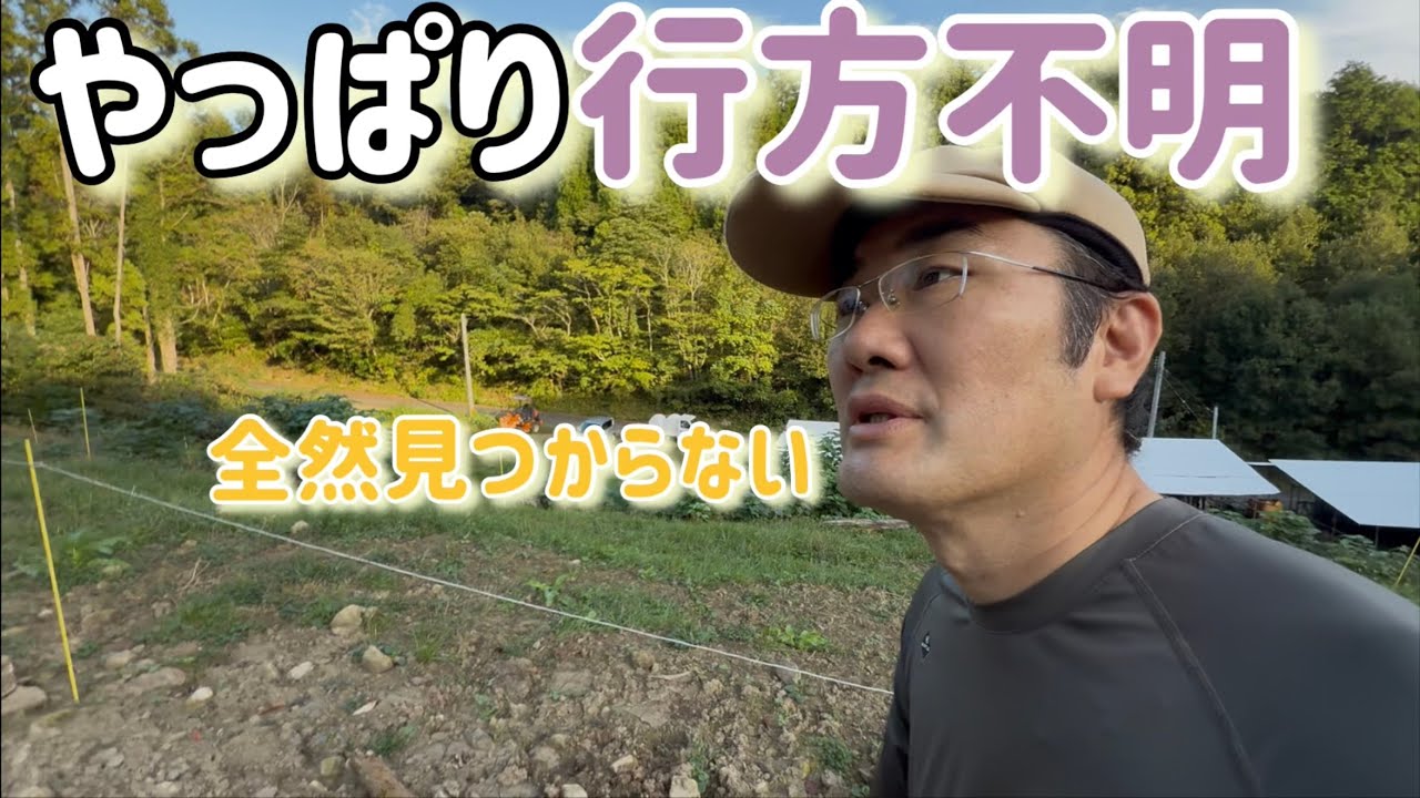 牧場の中を1時間歩きまわった理由