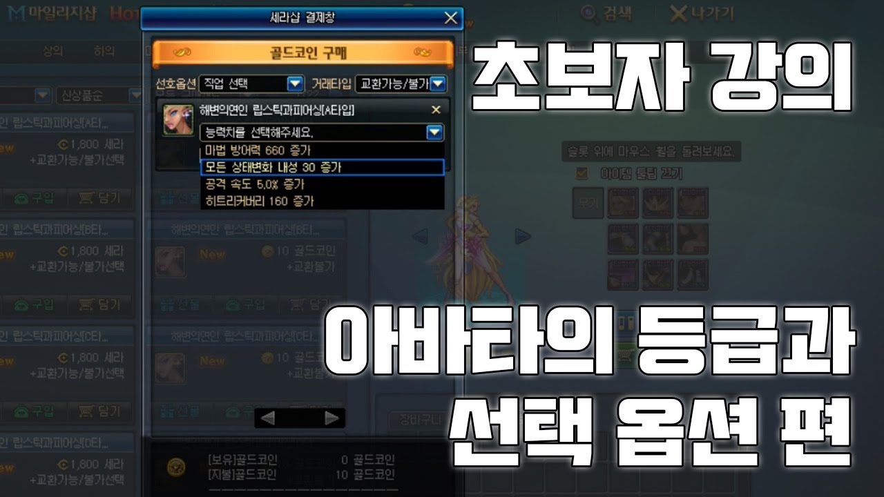 [던파] 초보자 강의 아바타의 등급과 선택 옵션 편