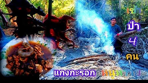 เข้าป่า4คน,หาของป่าหน้าแล้ง,แกงกระรอก,หนูหวาย//pai-khosana