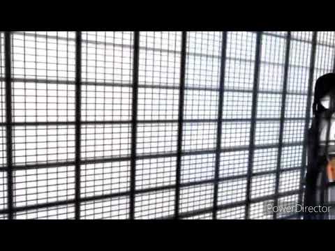 Tokyo Ravens /Amv/