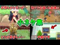 【BDSP】ダイパリメイクに隠された小ネタ17選