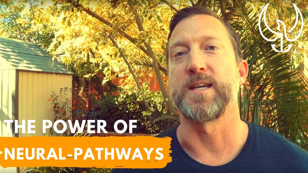 Сила сухого огня и создание идеальных нейронных путей