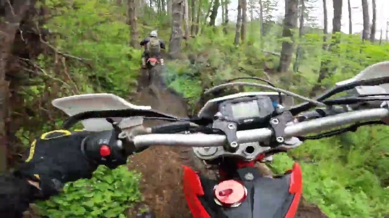 2024 SWM RS300R - PNW ShortRIP-001