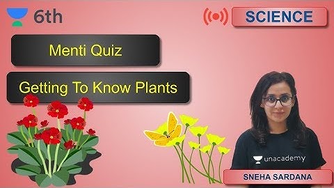 Menti Quiz | Getting To Know Plants | Unacademy Class 6 | Sneha Sardana