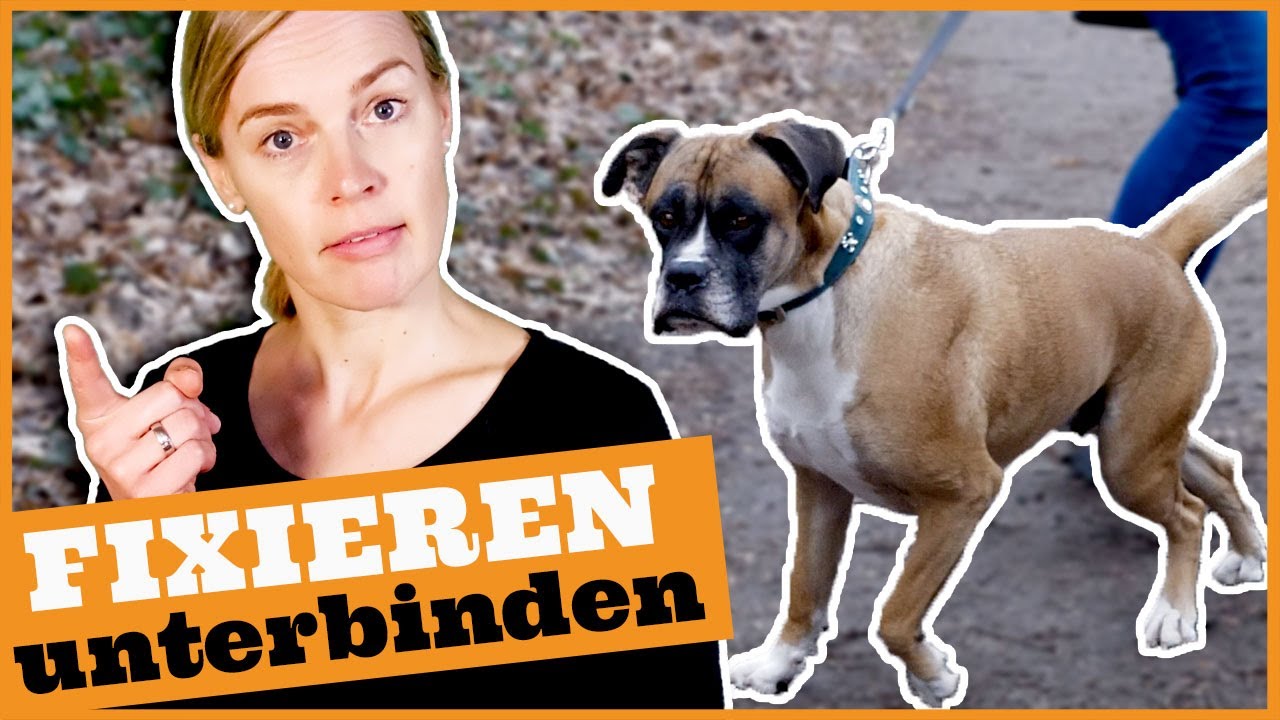 Angreifer effektiv zu Boden bringen \u0026 fixieren | KAMPFKUNST LIFESTYLE