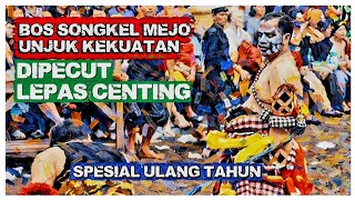 Download Lagu Adu Pecutan Unjuk Kekuatan Songkel Mejo Spesial Ulang Tahun  MP3