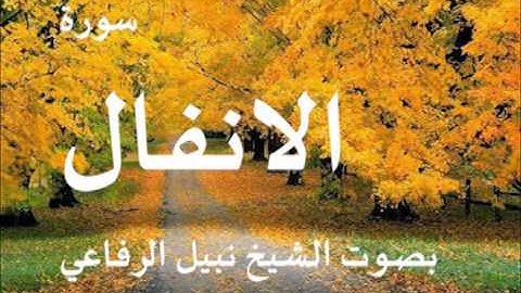 سورة الانفال بصوت الشيخ / نبيل الرفاعي 8