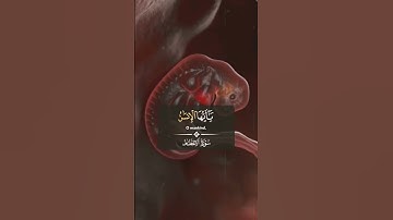 يَاأَيُّهَا الْإِنْسَان 🌻راحة نفسية عبد الباسط عبد الصمد تلاوة خاشعة حالات واتس اب قرآن كريم