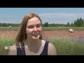 CBC Nova Scotia News July 4, 2024 | Humpback whale death