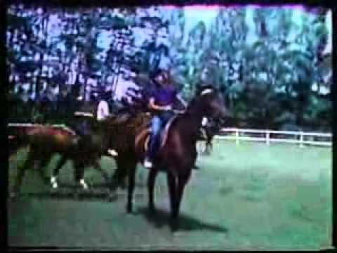 Chaseiro — chaseiro ku lama menanti