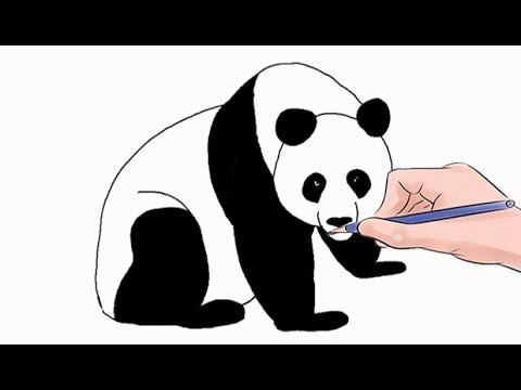 How to Draw a Panda Easy Step by Step - YouTube