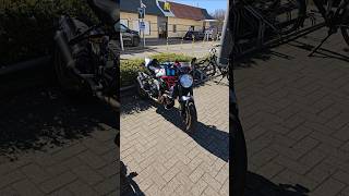 Martini Ducati Monster