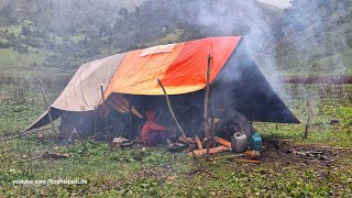 Himalayan Village Life | Sheep Shepherd Life | Rainy Day | organic Shepherd Food | Real Nepali Life|