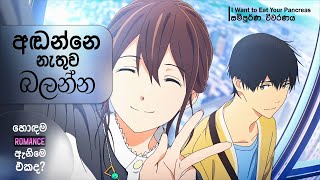 අඬන්නෙ නැතුව බලන්න! 💝 | I Want to Eat Your Pancreas | Sinhala Review | The Trebles