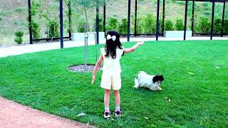 Long Weekend | School Break | Joyful Kid Play With Puppy At Arboretum