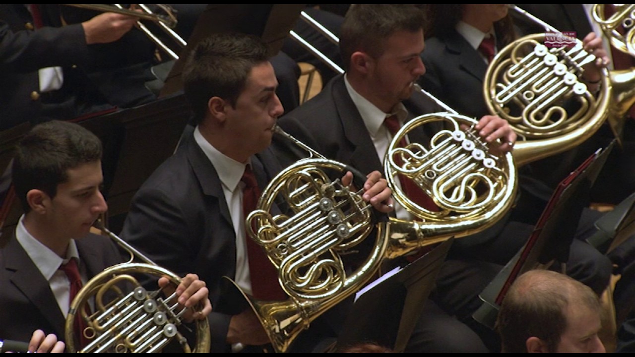 SOCIEDAD PROTECTORA MUSICAL LA LIRA DE ALFARP - Certamen Provincial de Valencia 2017