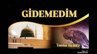 Talha Sümer Gidemedim