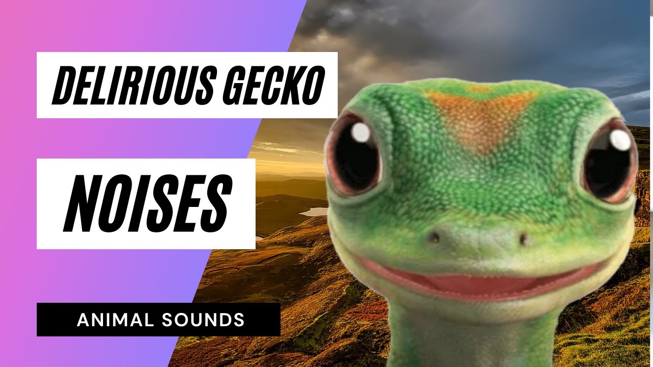 The Animal Sounds: Delirious Gecko's Sound 🦎 / Sound Effect / Animation ...