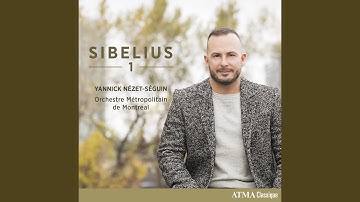 Sibelius: Symphony No. 1 In E Minor, Op. 39: II. Andante, Ma non troppo lento