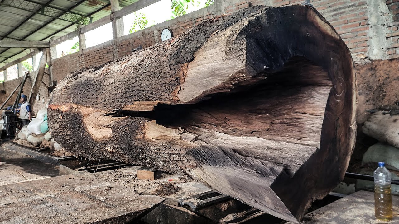 How to Handle Giant Trembesi Logs in a Small Sawmill - YouTube