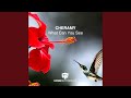 What can you see original mix