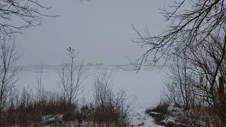 Abandoned Trackbed  Exline Slough  Kankakee County