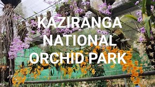 Kaziranga National Orchid Park | Assam
