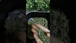 AIR FRYER DRIED CURRY LEAVES #shorts