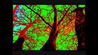 Liquid Soul & Zyce Anjuna Feat Solar Kid