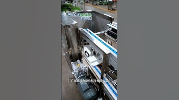 Display of Double Speed Chain Assembly Line on Customer Site