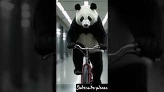 🚨 Creepy Panda Caught on Mall Security Camera at 2AM | CCTV Footage #babypanda #viral #shorts #utub