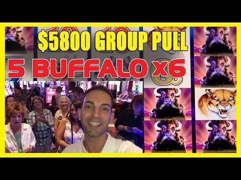 🙀WHOA! 💲5,800 29-Person Group Pull🐃5 Buffalo ❌ 6🔒🔗Lock It Link🍸Cosmo LAS VEGAS✦ BCSlots