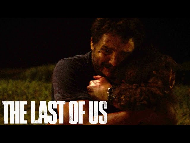 Joel e Sarah em The Last of Us HBO, Pedro Pascal e Nico Parker aparecem  juntos em vídeo