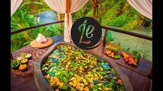 Career Overview Five Elements Wellness Centre, Bali:  The World's Best Holidays on 7  |  LUXURY ESCAPES