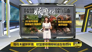 八点最热报 17/06/2019 敦马幽默反击欧盟抹黑种油棕危害环境