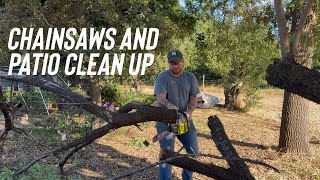 Enjoying the Chainsaw More Than I Should & Patio Cleanup!