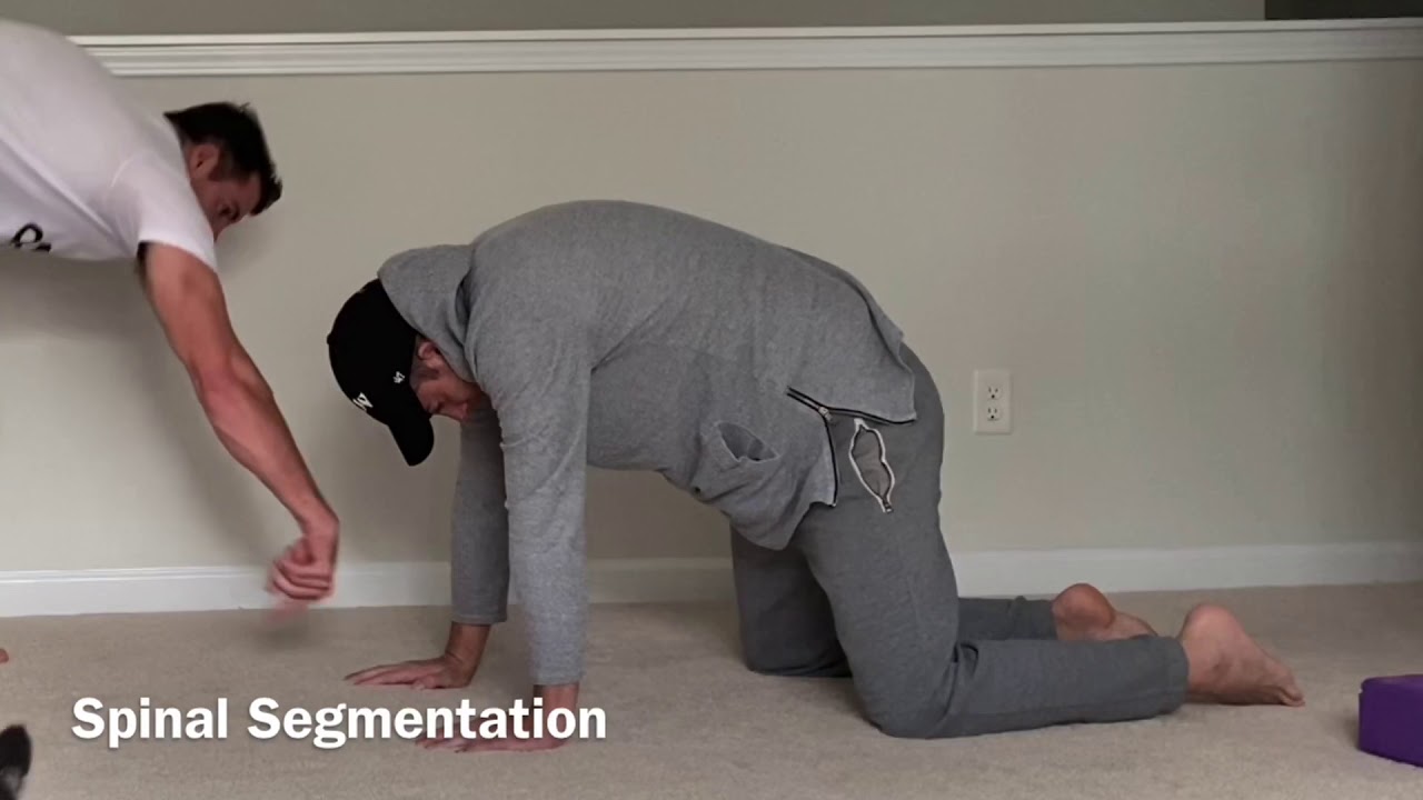 Spinal Segmentation Instruction YouTube