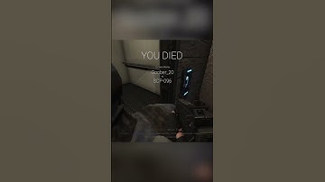 Schizophrenia Gaming #scpsl #173 #funnymoments