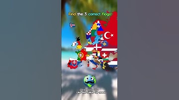 FIND THE 3 CORRECT FLAGS! 🔎🏳️