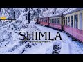 Shimla  shimla tourist places  shimla tour plan  shimla tour budget  shimla tour guide himachal